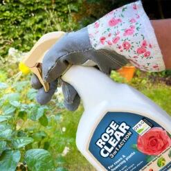 RoseClear 3-in-1 Action Insect Spray 800ml -Hozelock Lola Shop 119980 furtherimage 2 1 48967.1662993468