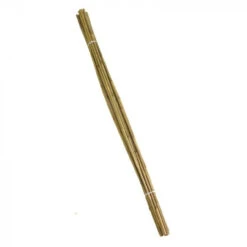 Bamboo Canes - Extra Thick 2.4m Bundle Of 10