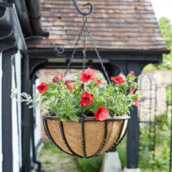 Hozelock Lola Shop 31 14" Forge Hanging Basket