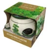Kitchen Herb Pot -Hozelock Lola Shop DP94 Kitchen Herb Pot 65856.1683894657