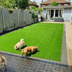 Easigrass - Belgravia M2 -Hozelock Lola Shop belgravia 2 00070.1662993687