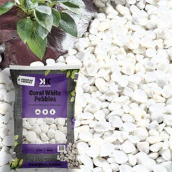 Coral White Pebbles