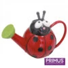 Children's Ladybird Metal Watering Can -Hozelock Lola Shop pq0552 59937.1676972266