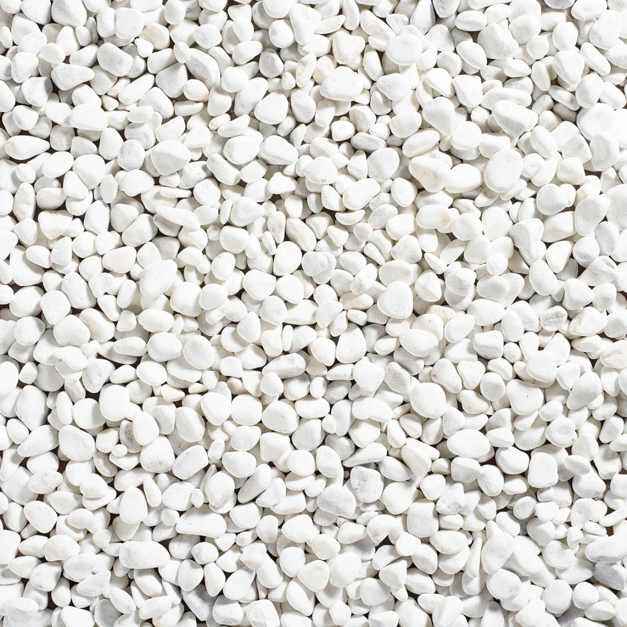 Coral White Pebbles - Image 4