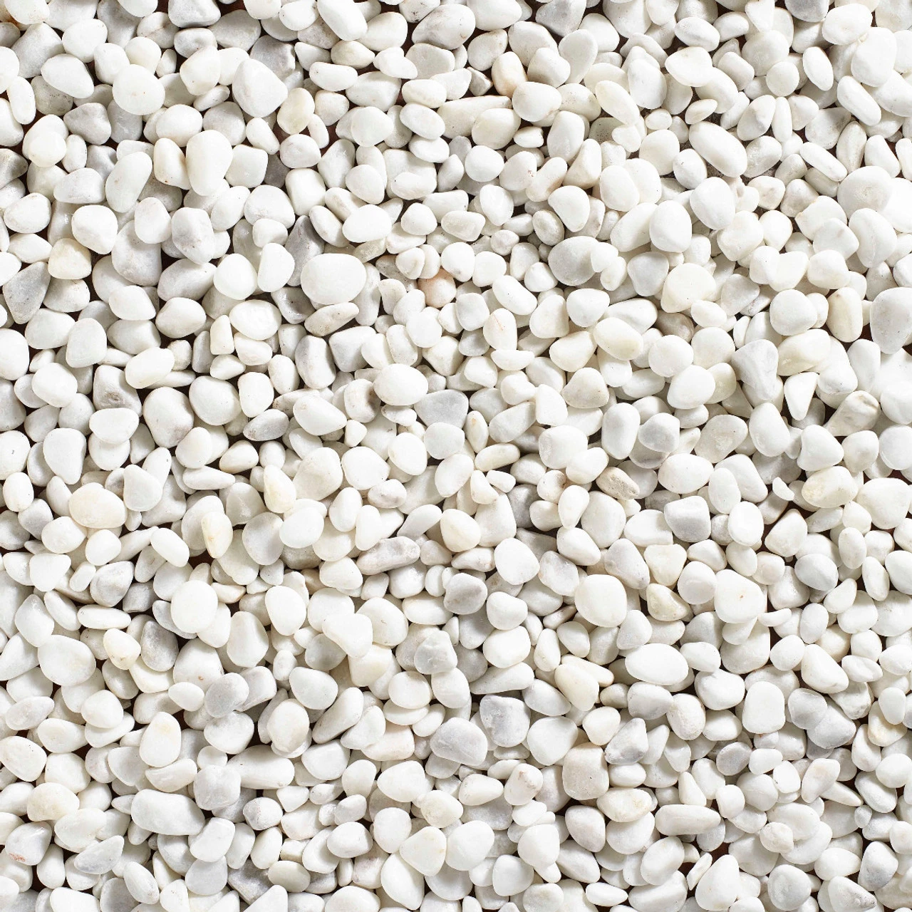 Coral White Pebbles - Image 3