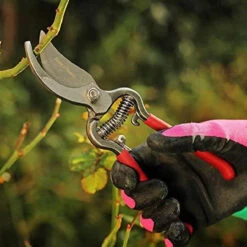 Kent & Stowe Traditional Bypass Secateurs -Hozelock Lola Shop s l1601 1 28482.1662992869
