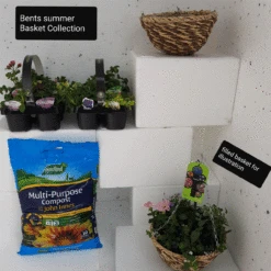 Summer Basket Collection