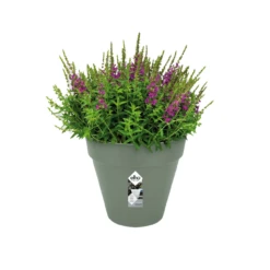 Hozelock Lola Shop -Hozelock Lola Shop untitled 3 29 1 2 06225.1662993362