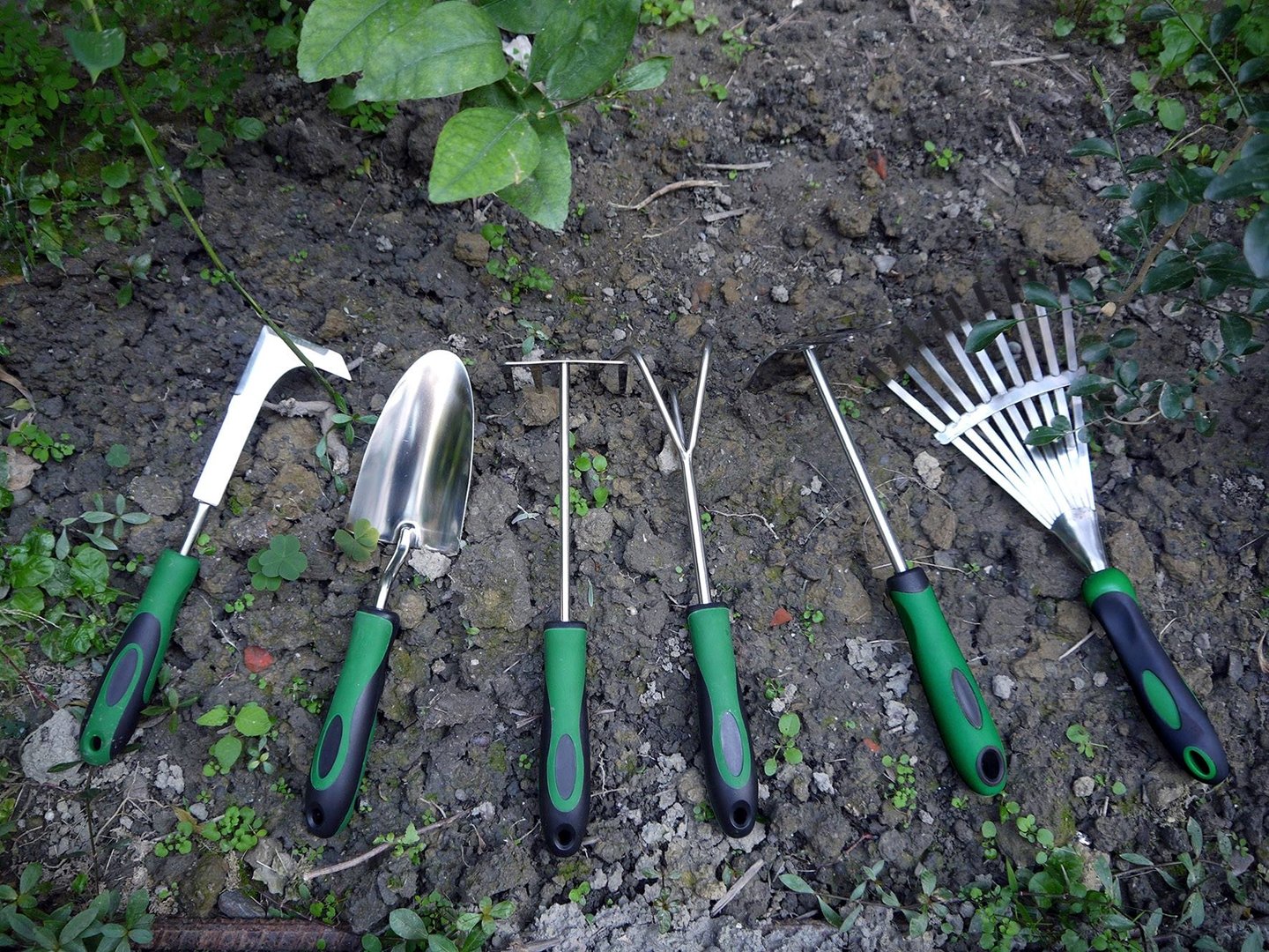 Hozelock Lola Shop 39 Hozelock Lola Shop -Hozelock Lola Shop slideshow 4